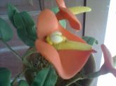 vaso de flor